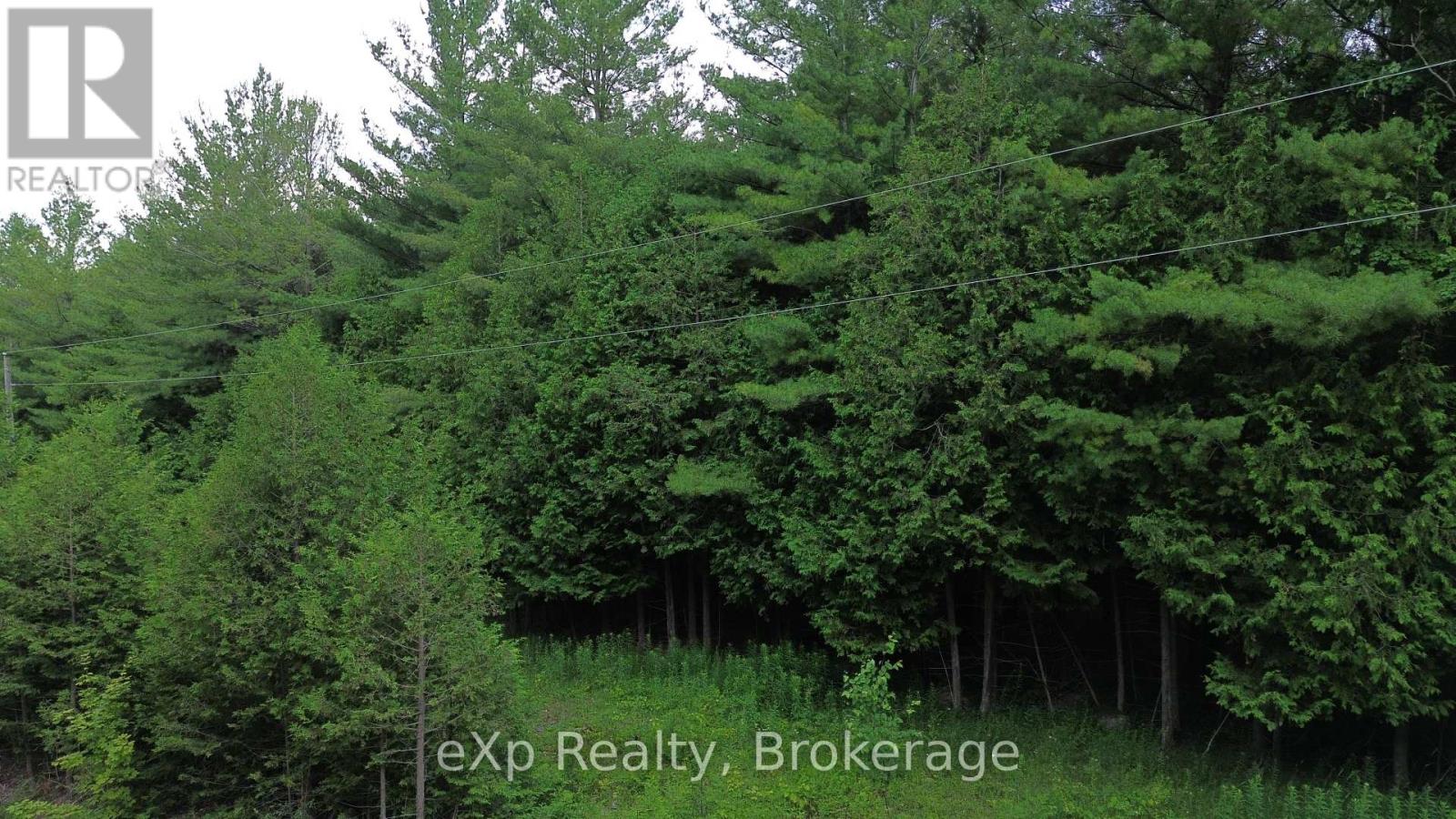 720227 Sideroad 20 Side Road, Chatsworth, Ontario  N0H 1R0 - Photo 6 - X12282026