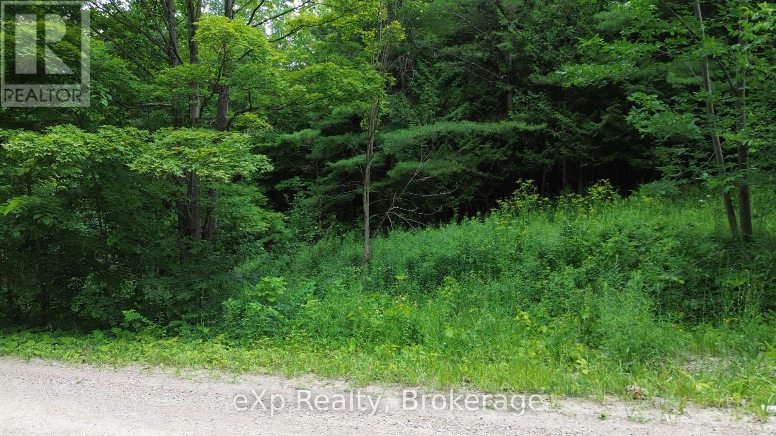 720227 Sideroad 20 Side Road, Chatsworth, Ontario  N0H 1R0 - Photo 8 - X12282026