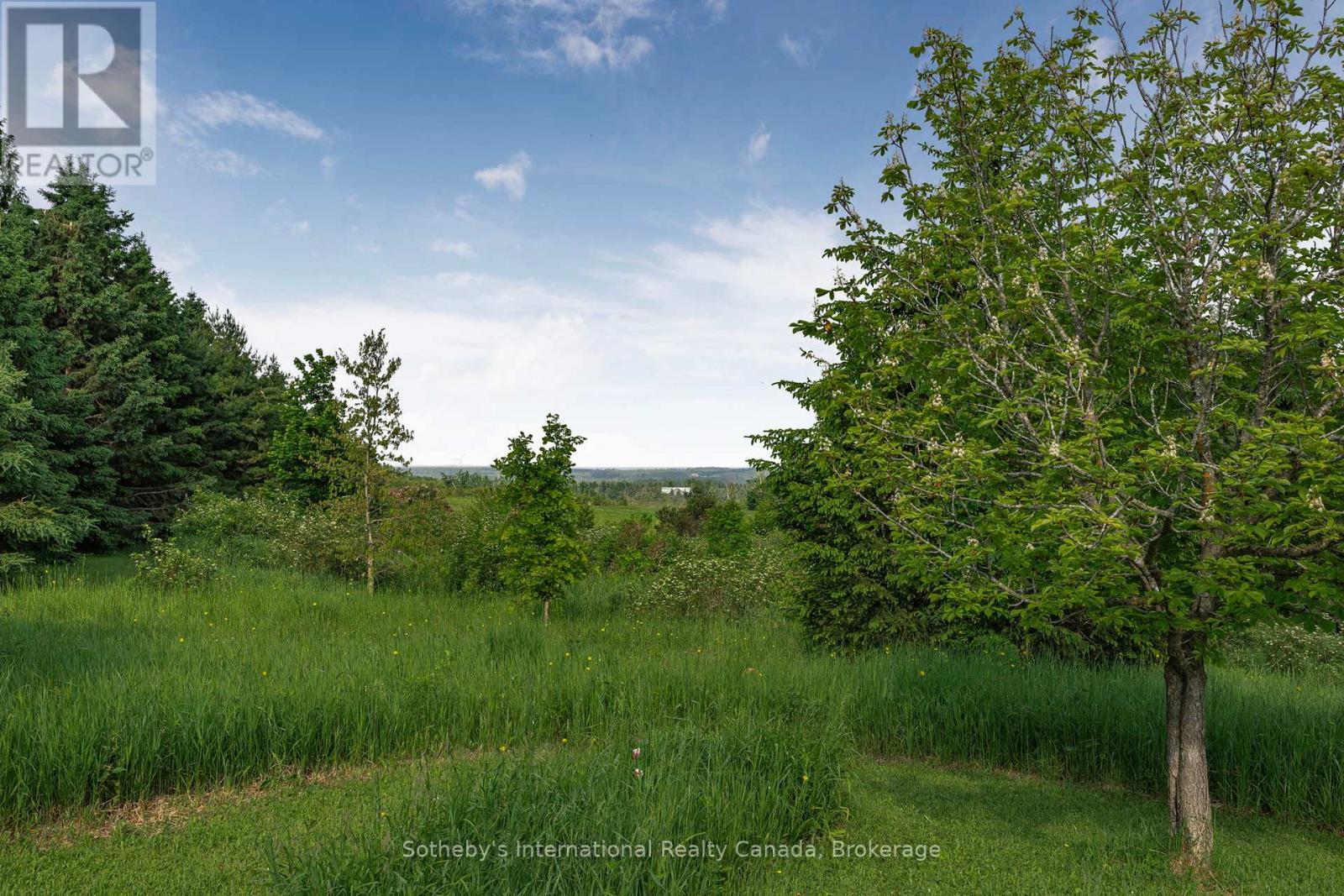 758693 2nd Line E, Mulmur, Ontario  L9V 0H1 - Photo 42 - X12283645