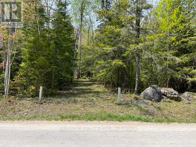 191-193 Mallory Beach Road, South Bruce Peninsula, Ontario  N0H 2T0 - Photo 2 - X12284802
