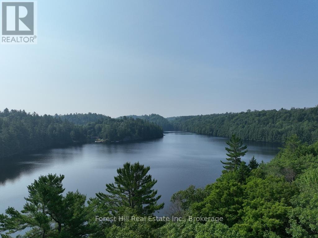 1010 Nest Lane, Lake Of Bays, Ontario  P0A 1E0 - Photo 6 - X12289506