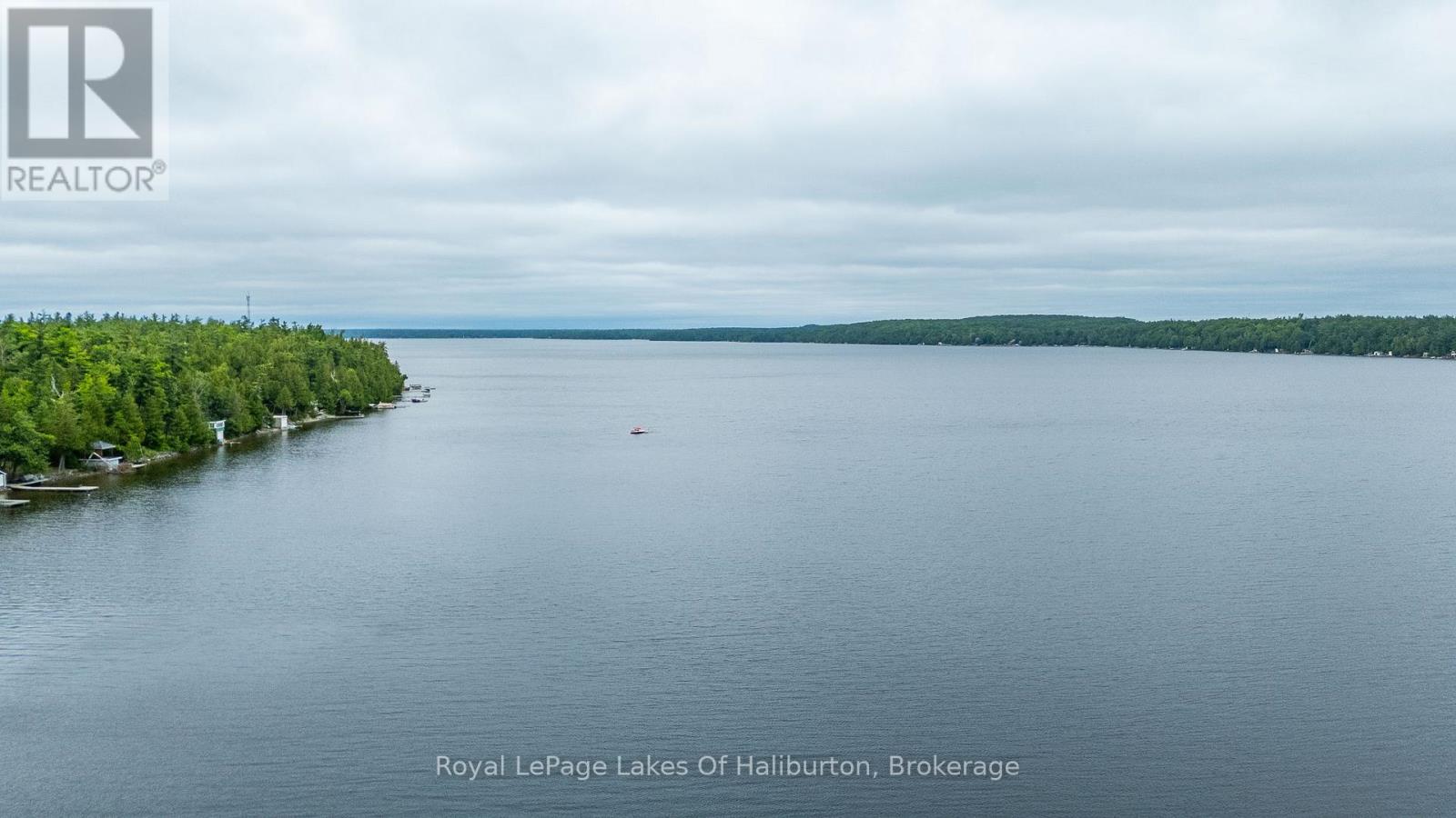 10 Griffin Drive, Kawartha Lakes, Ontario  K0M 1K0 - Photo 11 - X12292371