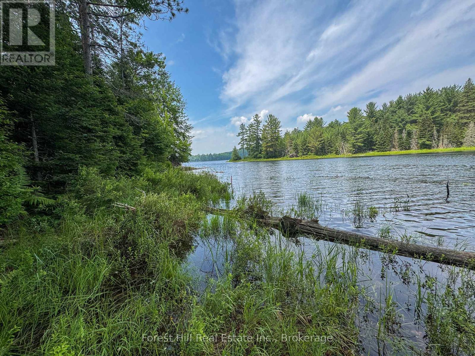 1130 Chetwynd Road, Armour, Ontario  P0A 1C0 - Photo 23 - X12292740