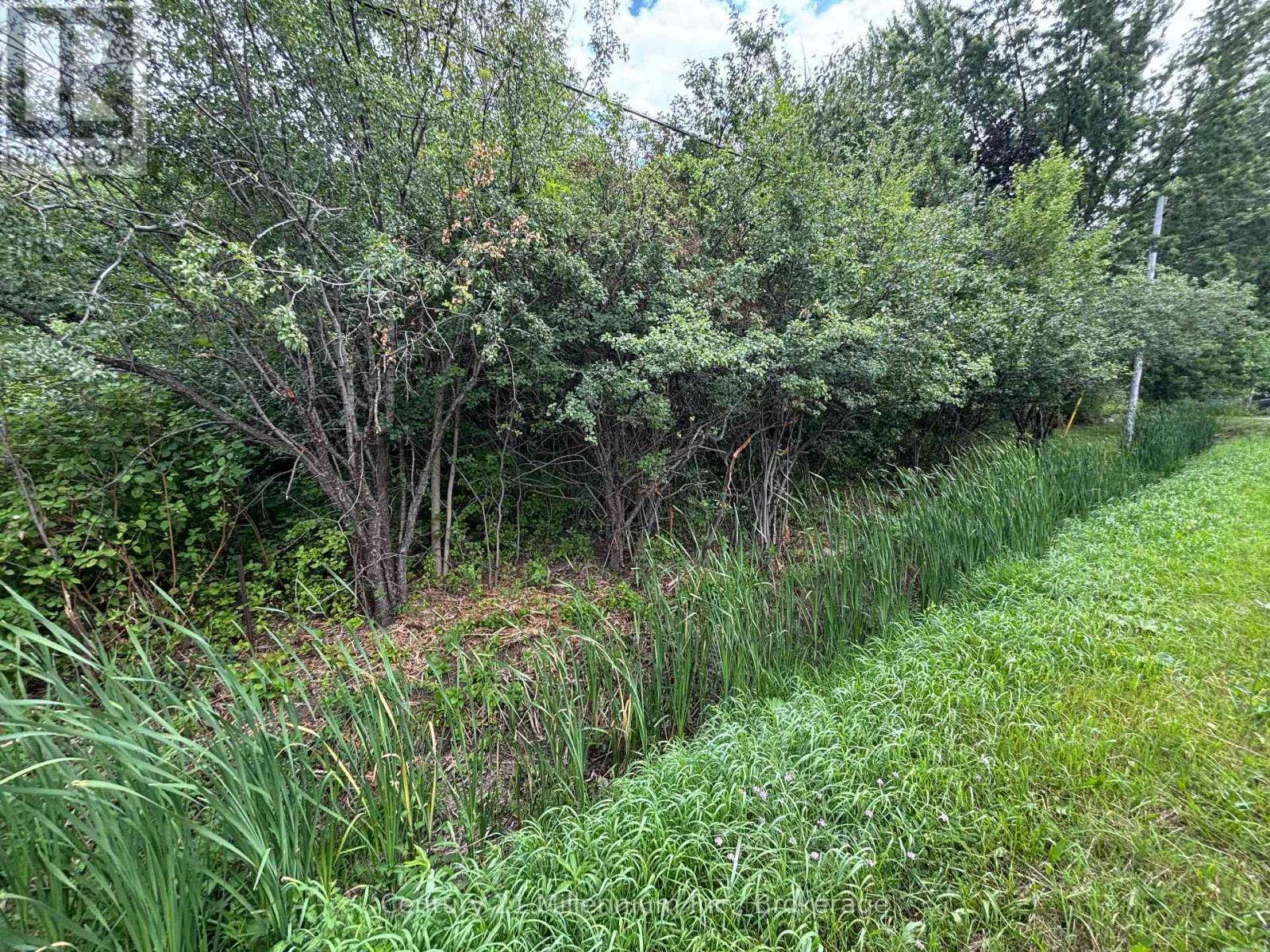 Pt Lt 10 3rd Line, Meaford, Ontario  N4L 1W7 - Photo 1 - X12297092