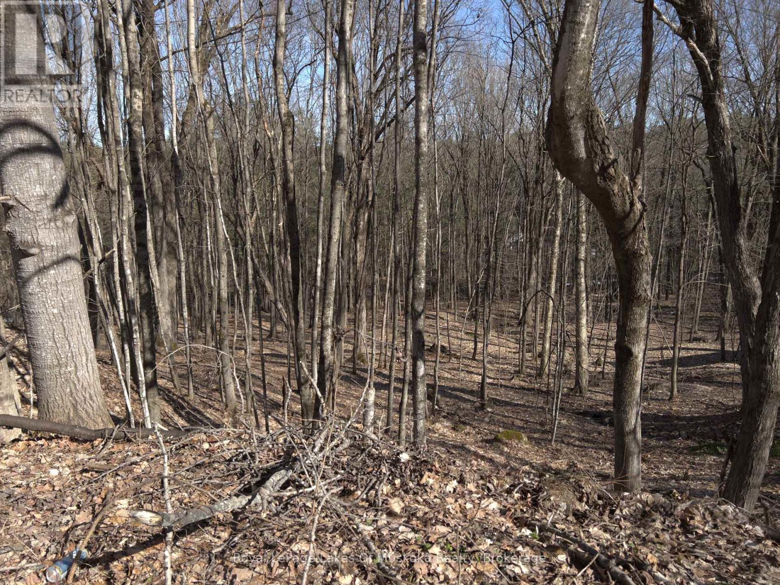 0 SOUTH MUSKOKA DRIVE, Bracebridge, Ontario