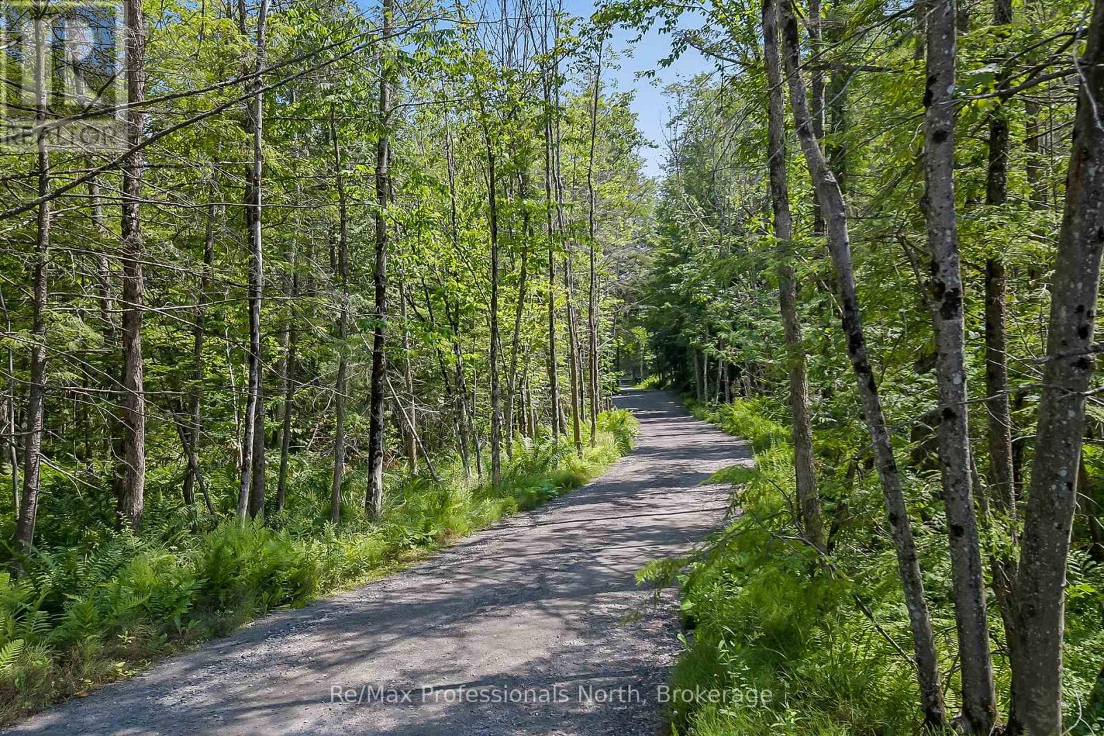 1054 Brydons Bay Road, Gravenhurst, Ontario  P1P 1R1 - Photo 43 - X12299721