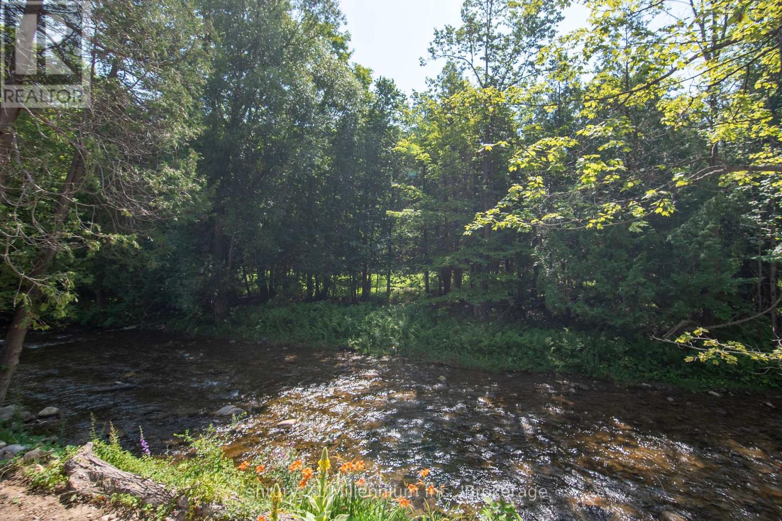 8355 County 9 Road, Clearview, Ontario  L0M 1G0 - Photo 13 - S12302521