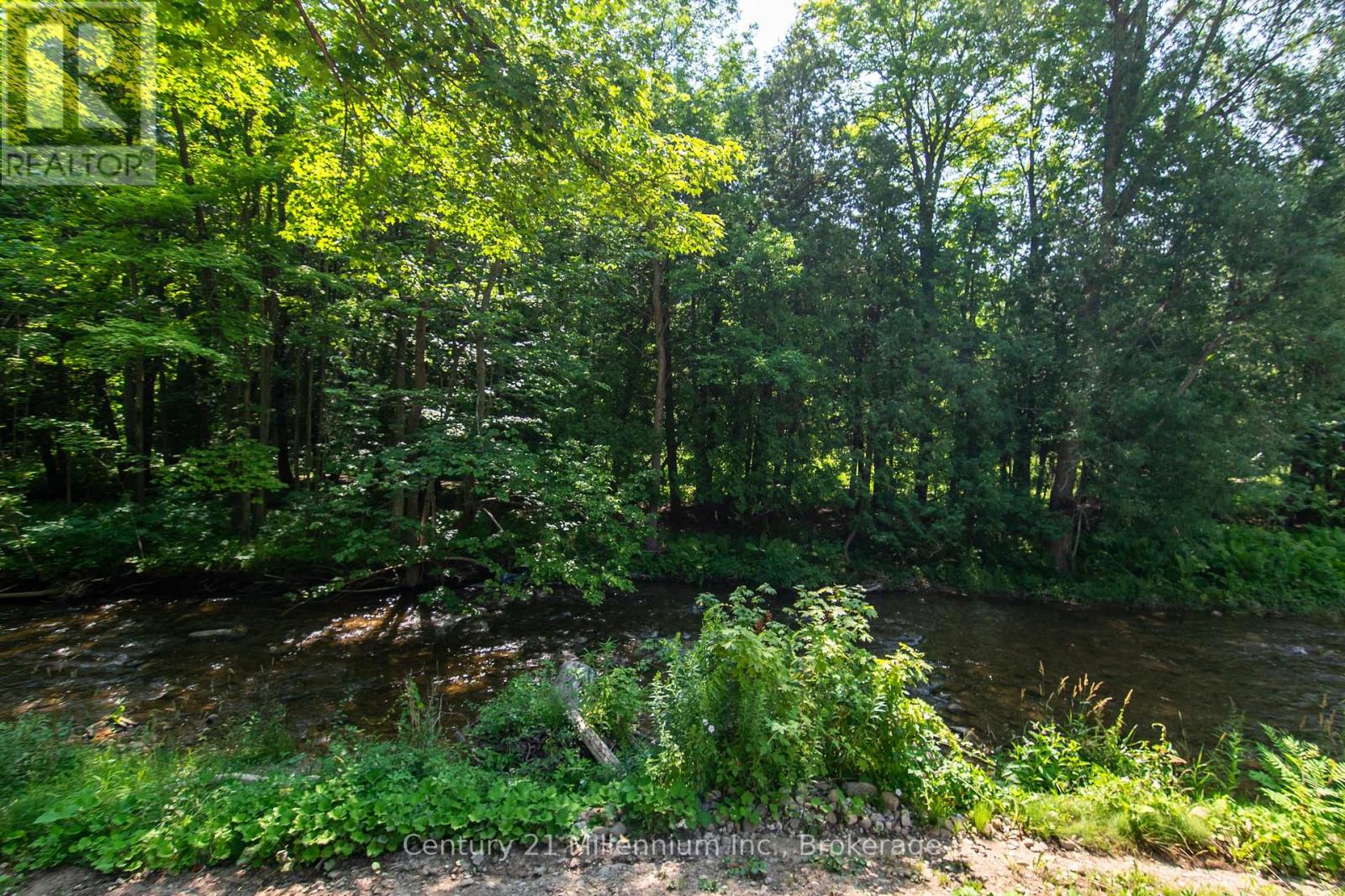 8355 County 9 Road, Clearview, Ontario  L0M 1G0 - Photo 16 - S12302521