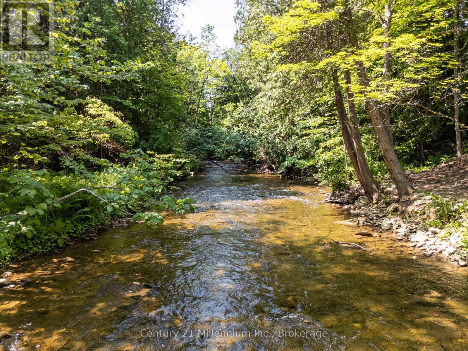 8355 County 9 Road, Clearview, Ontario  L0M 1G0 - Photo 8 - S12302521