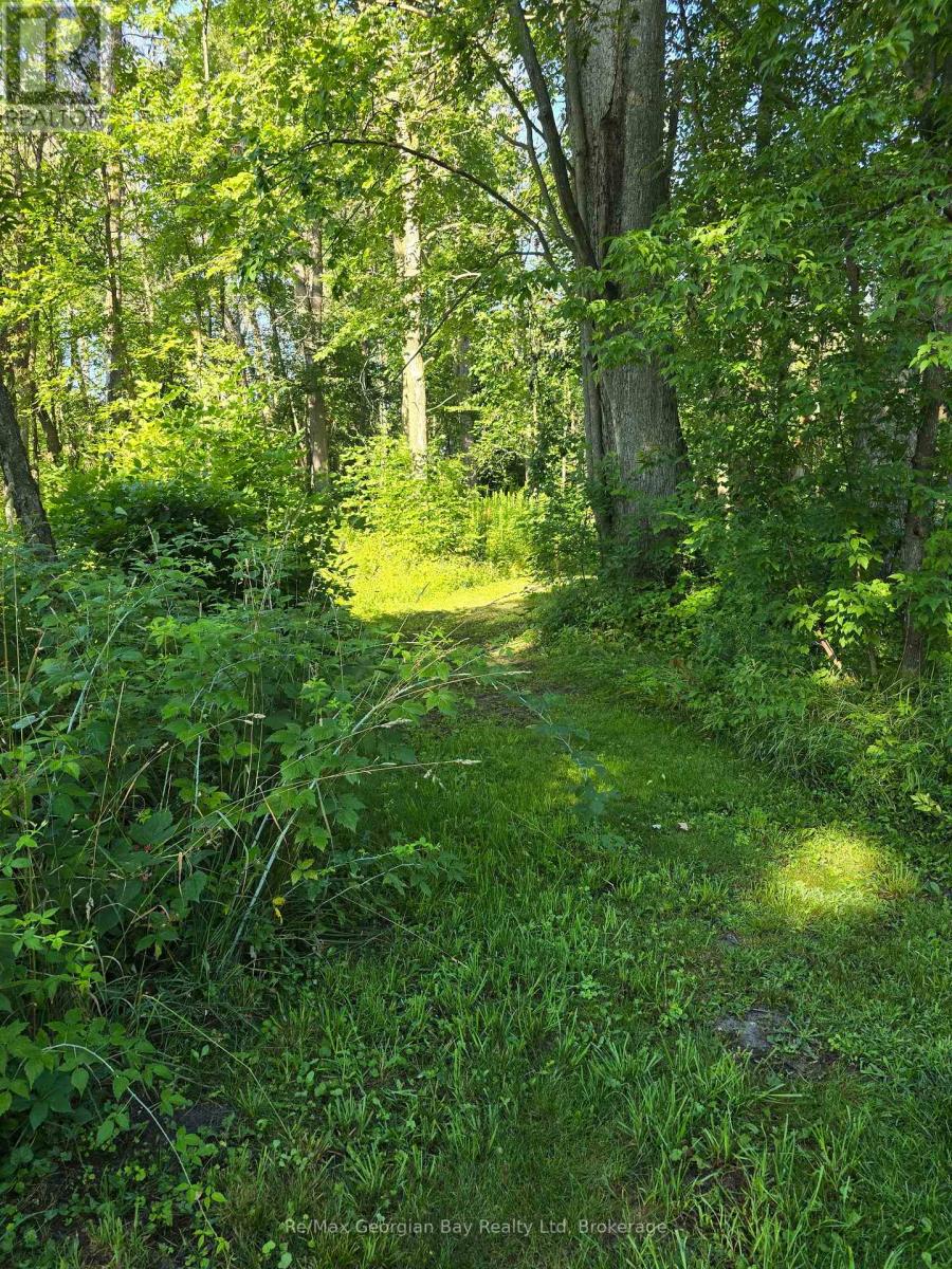 72 Coldwater Road, Severn, Ontario  L0K 1E0 - Photo 3 - S12304690