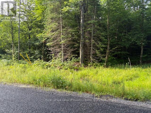 60 Summer Leigh Trail, Huntsville, Ontario  P0B 1M0 - Photo 2 - X12307159