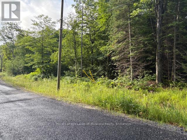 60 Summer Leigh Trail, Huntsville, Ontario  P0B 1M0 - Photo 3 - X12307159