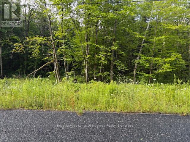 60 Summer Leigh Trail, Huntsville, Ontario  P0B 1M0 - Photo 8 - X12307159