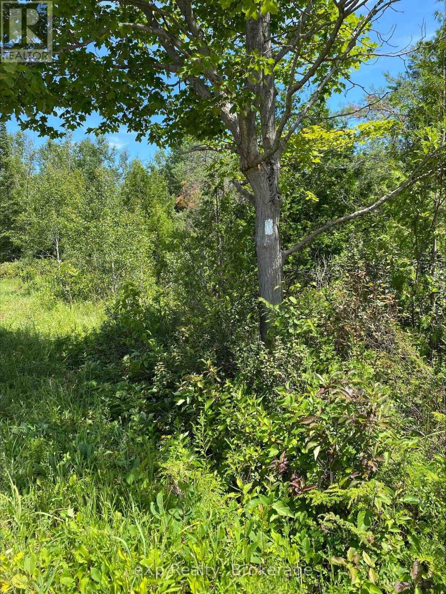 Part Lot 40 - 40 Lindsay Road, Northern Bruce Peninsula, Ontario  N0H 1Z0 - Photo 2 - X12308967
