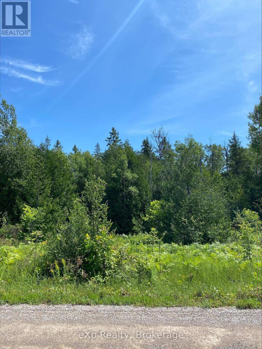 Part Lot 40 - 40 Lindsay Road, Northern Bruce Peninsula, Ontario  N0H 1Z0 - Photo 3 - X12308967
