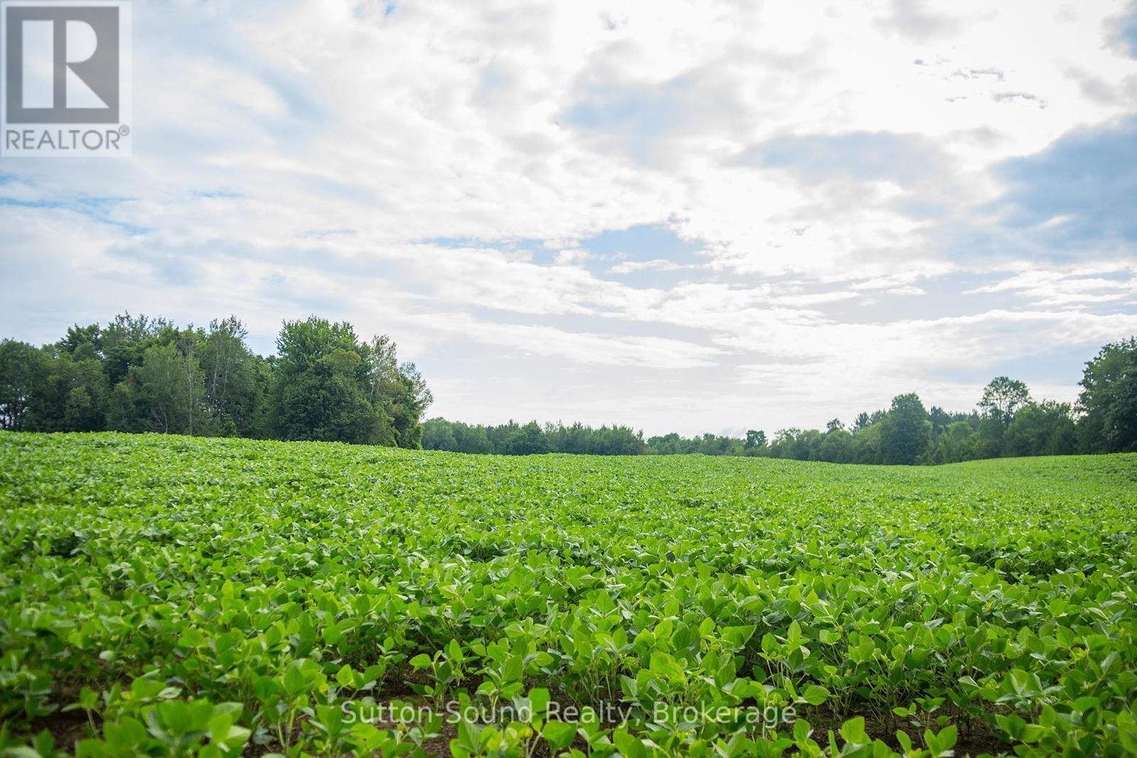 Pl11-12 10 Side Road, Chatsworth, Ontario  N0H 1G0 - Photo 5 - X12308978