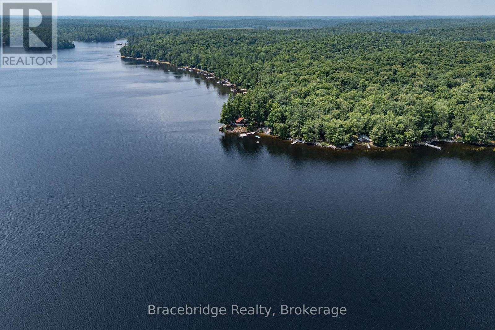 1568 Milne Road, Bracebridge, Ontario  P1L 1X1 - Photo 38 - X12309078