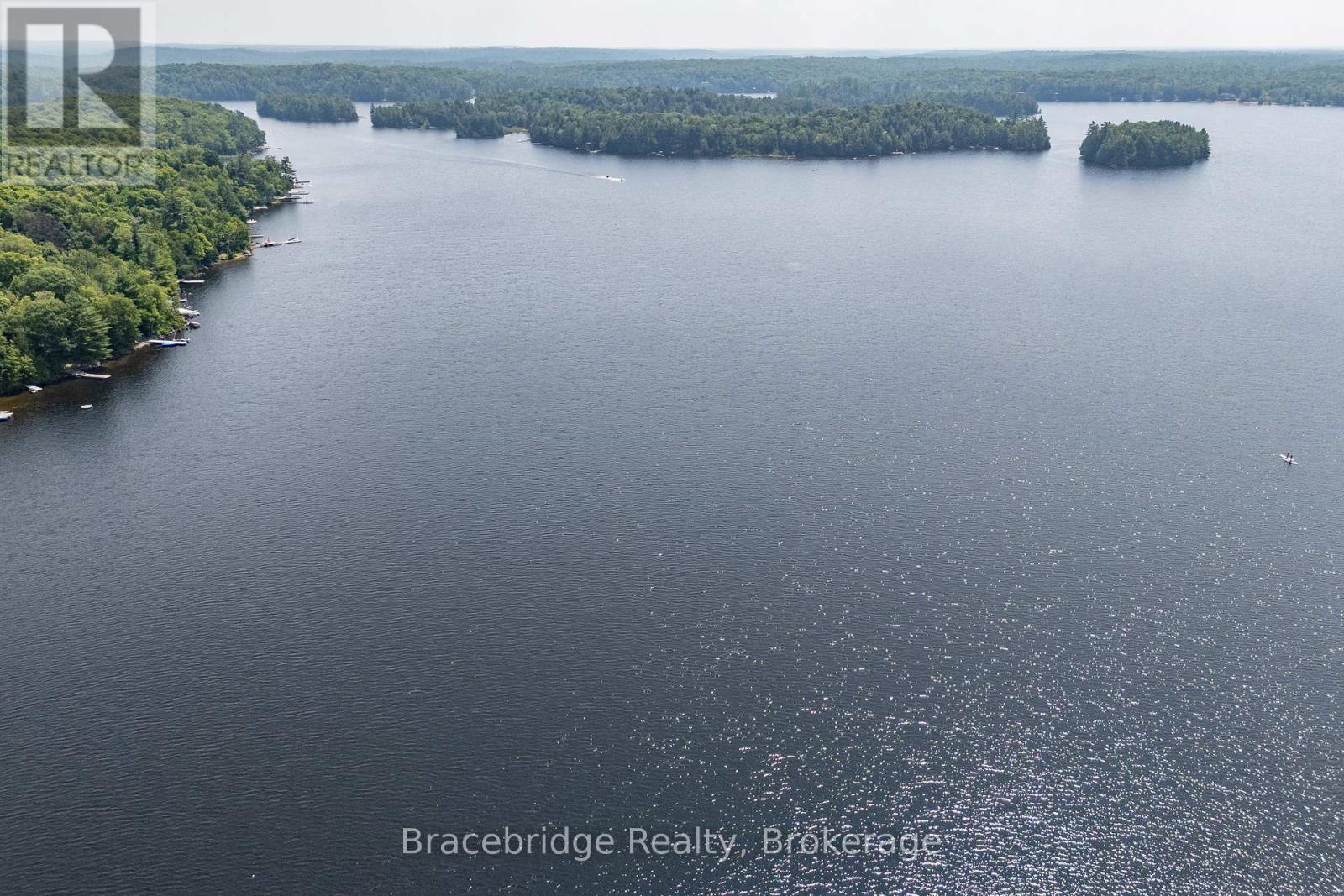 1568 Milne Road, Bracebridge, Ontario  P1L 1X1 - Photo 39 - X12309078