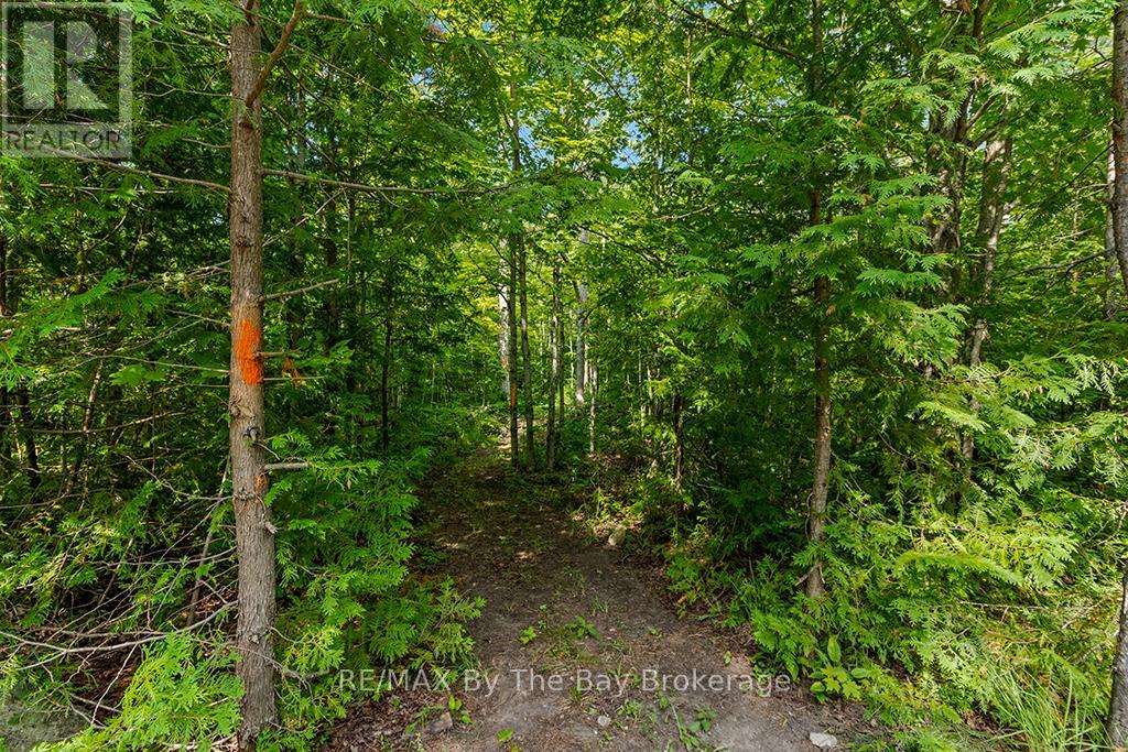 600055 50 Side Road S, Chatsworth, Ontario  N0H 1R0 - Photo 44 - X12309904