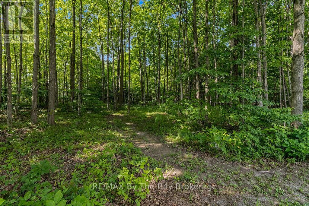600055 50 Side Road S, Chatsworth, Ontario  N0H 1R0 - Photo 45 - X12309904