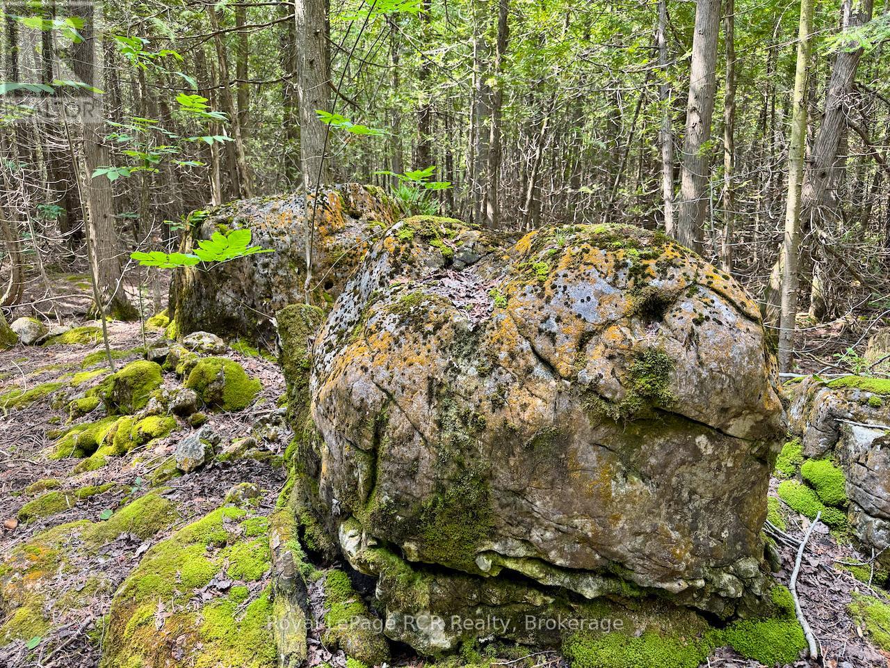 323 East Road Rr 4 Road, Northern Bruce Peninsula, Ontario  N0H 1W0 - Photo 36 - X12314257