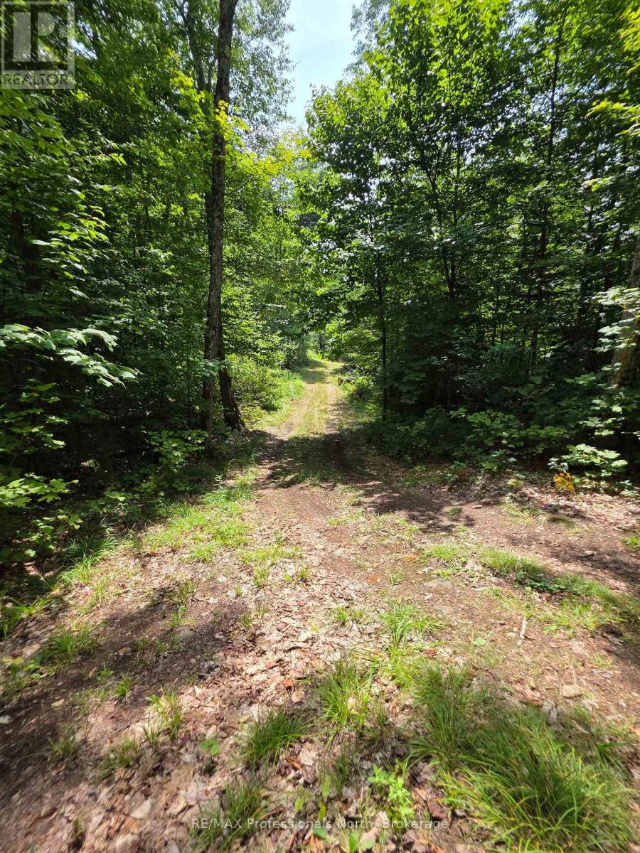 208 North Bay Lake Road, Perry, Ontario  P0A 1J0 - Photo 24 - X12316610