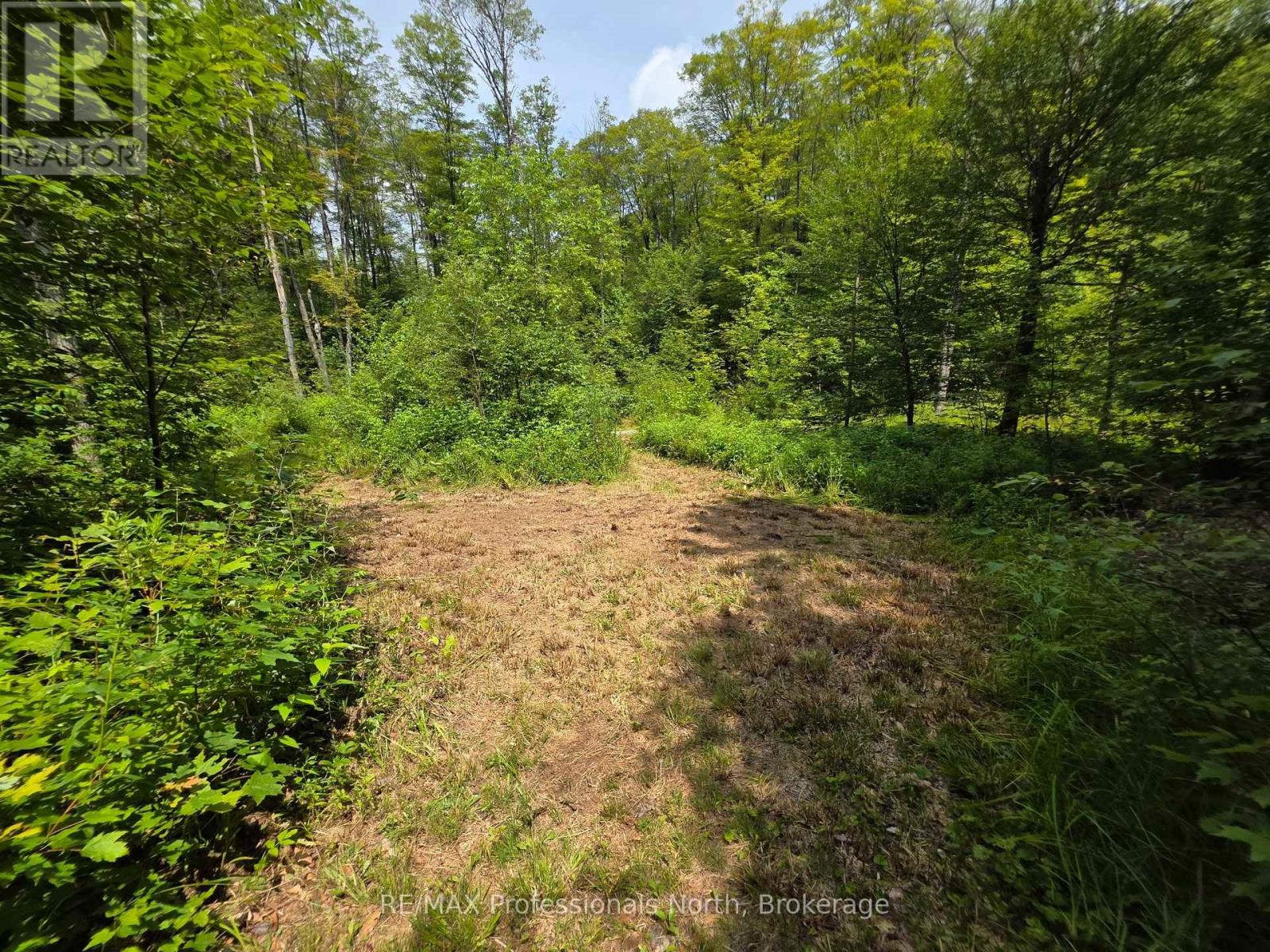 208 North Bay Lake Road, Perry, Ontario  P0A 1J0 - Photo 29 - X12316610
