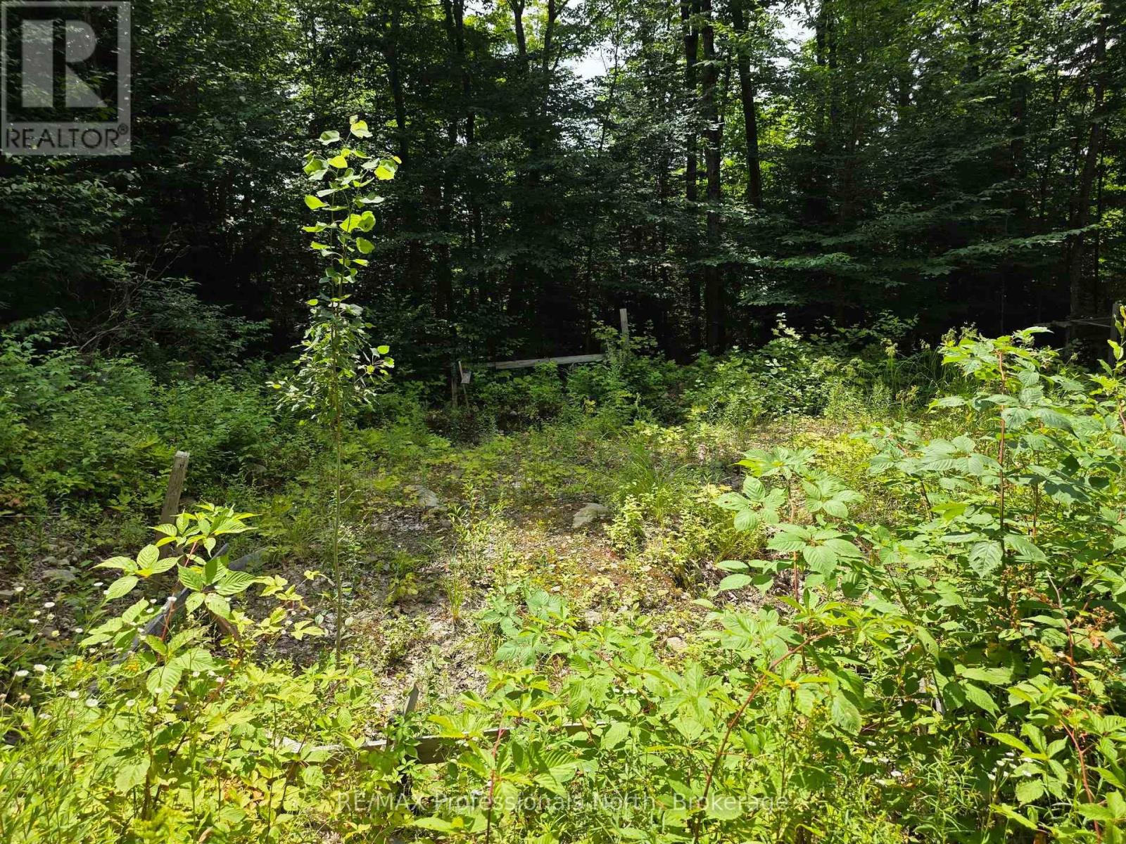 208 North Bay Lake Road, Perry, Ontario  P0A 1J0 - Photo 32 - X12316610