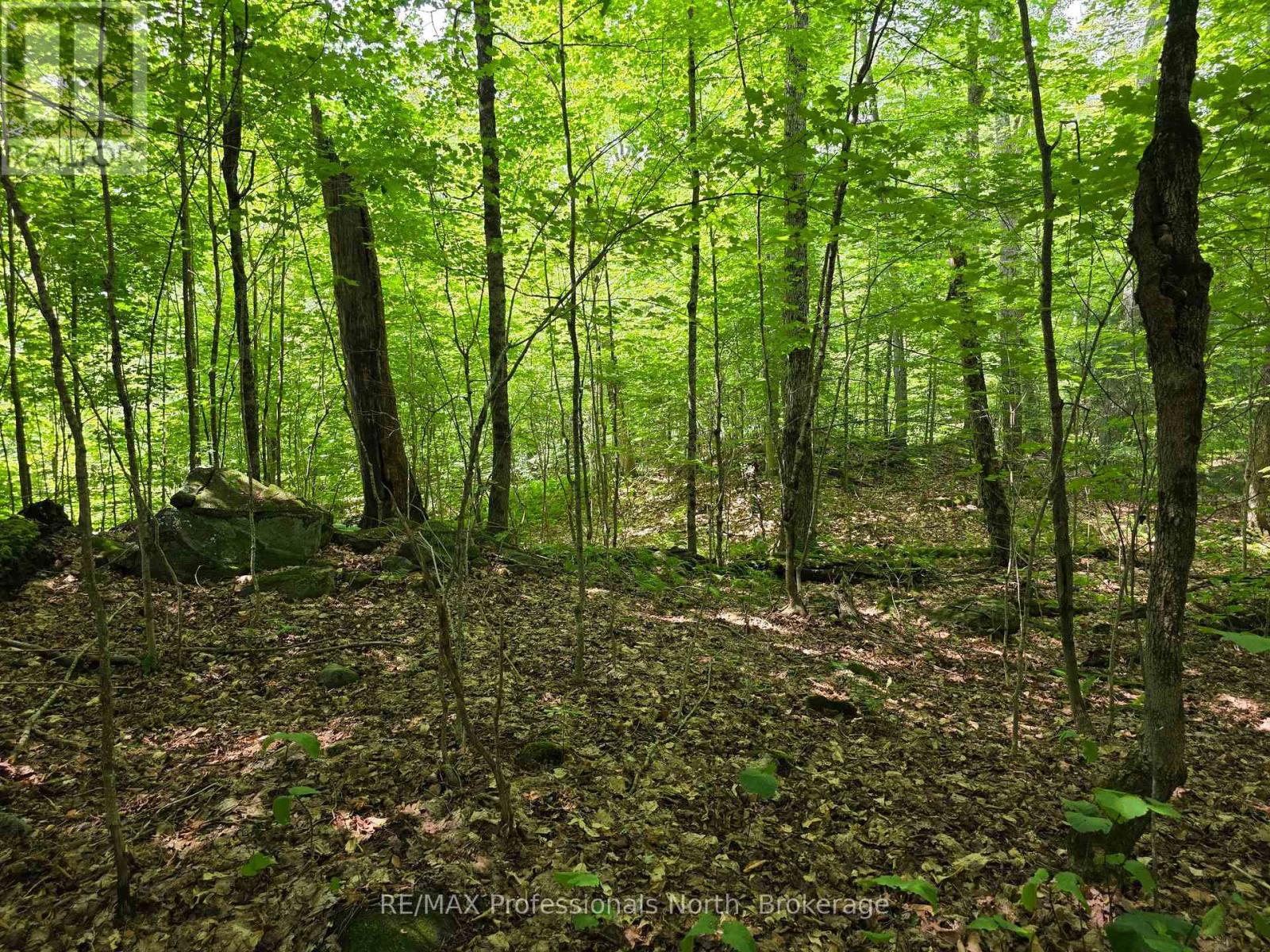 208 North Bay Lake Road, Perry, Ontario  P0A 1J0 - Photo 38 - X12316610