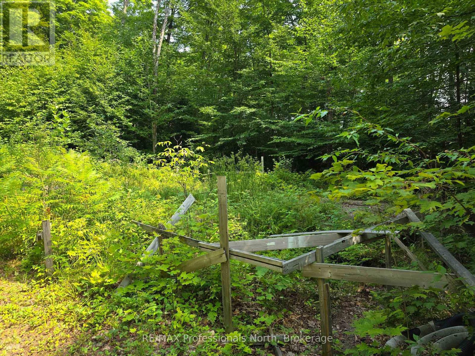 208 North Bay Lake Road, Perry, Ontario  P0A 1J0 - Photo 45 - X12316610