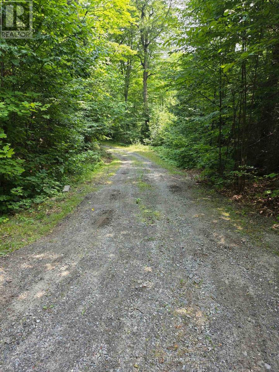 208 North Bay Lake Road, Perry, Ontario  P0A 1J0 - Photo 46 - X12316610