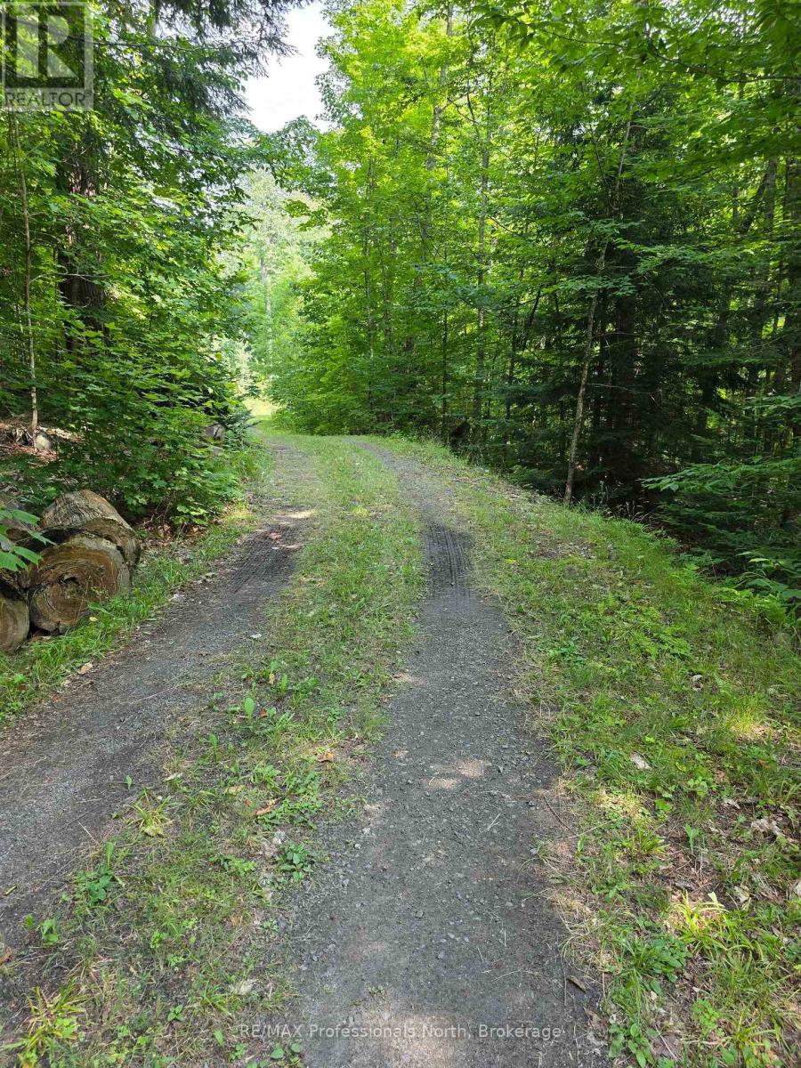 208 North Bay Lake Road, Perry, Ontario  P0A 1J0 - Photo 47 - X12316610