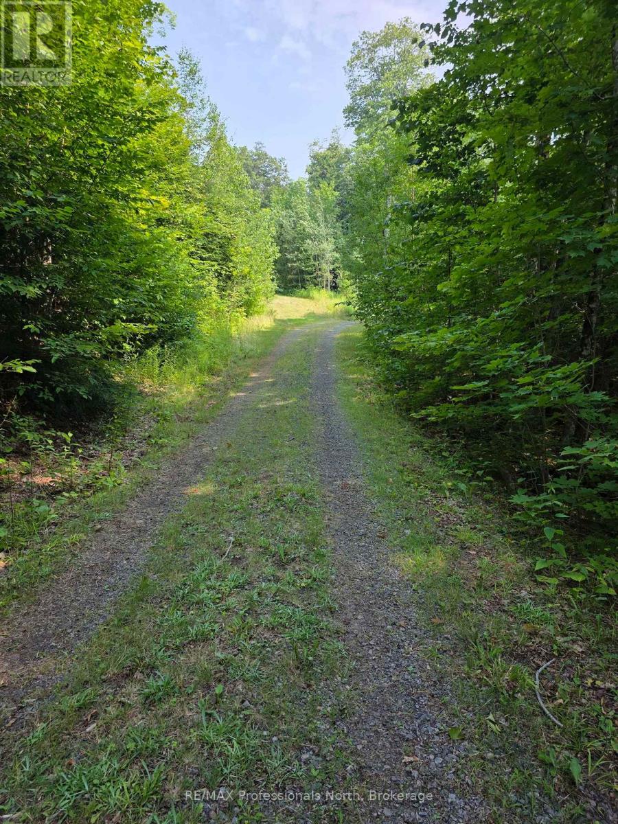 208 North Bay Lake Road, Perry, Ontario  P0A 1J0 - Photo 48 - X12316610