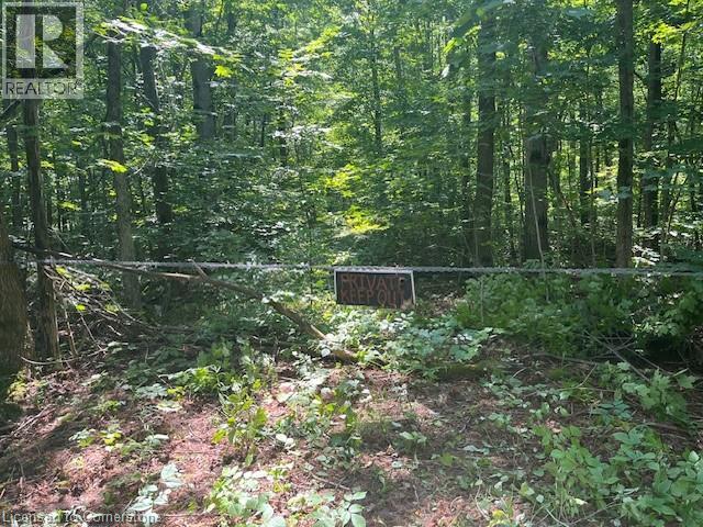 Pt Lt44 24th Side Road, Chatsworth, Ontario  N0H 1R0 - Photo 10 - 40755987