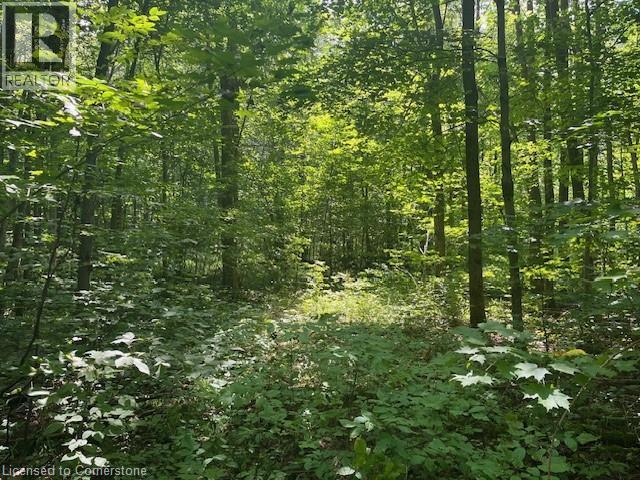 Pt Lt44 24th Side Road, Chatsworth, Ontario  N0H 1R0 - Photo 11 - 40755987