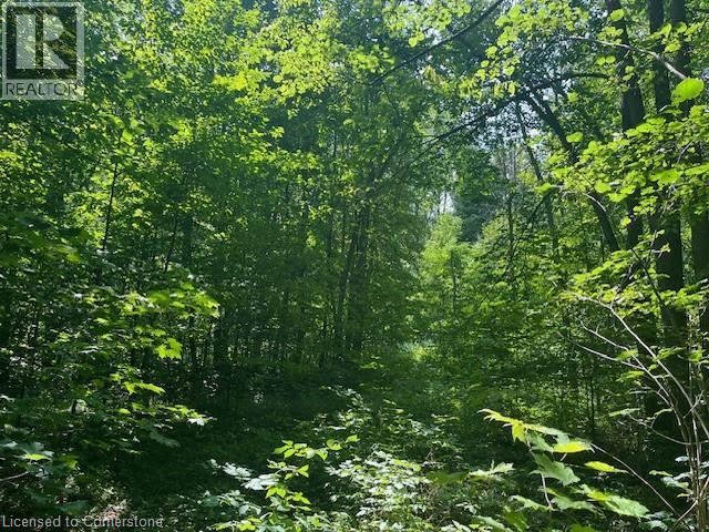 Pt Lt44 24th Side Road, Chatsworth, Ontario  N0H 1R0 - Photo 12 - 40755987