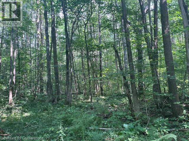 Pt Lt44 24th Side Road, Chatsworth, Ontario  N0H 1R0 - Photo 13 - 40755987