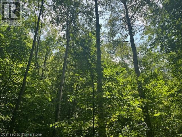 Pt Lt44 24th Side Road, Chatsworth, Ontario  N0H 1R0 - Photo 14 - 40755987