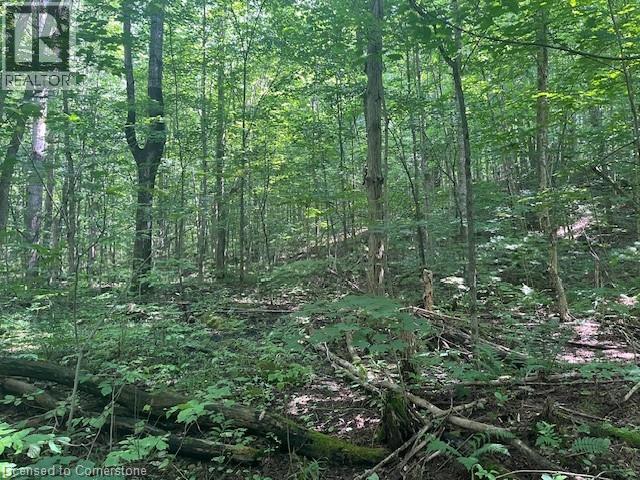 Pt Lt44 24th Side Road, Chatsworth, Ontario  N0H 1R0 - Photo 15 - 40755987