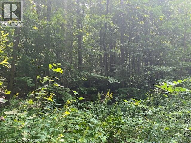 Pt Lt44 24th Side Road, Chatsworth, Ontario  N0H 1R0 - Photo 16 - 40755987