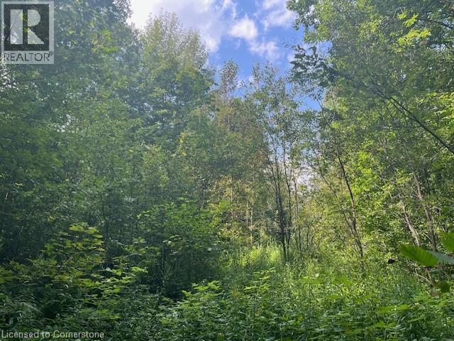 Pt Lt44 24th Side Road, Chatsworth, Ontario  N0H 1R0 - Photo 17 - 40755987