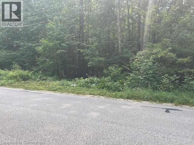 Pt Lt44 24th Side Road, Chatsworth, Ontario  N0H 1R0 - Photo 2 - 40755987