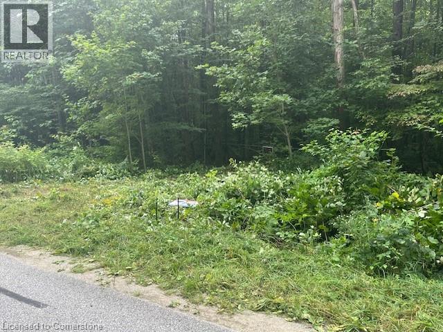 Pt Lt44 24th Side Road, Chatsworth, Ontario  N0H 1R0 - Photo 3 - 40755987