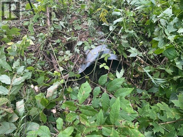 Pt Lt44 24th Side Road, Chatsworth, Ontario  N0H 1R0 - Photo 4 - 40755987