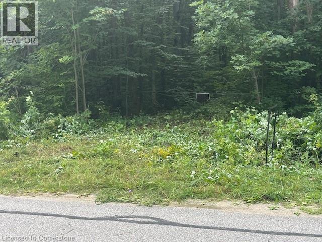 Pt Lt44 24th Side Road, Chatsworth, Ontario  N0H 1R0 - Photo 5 - 40755987