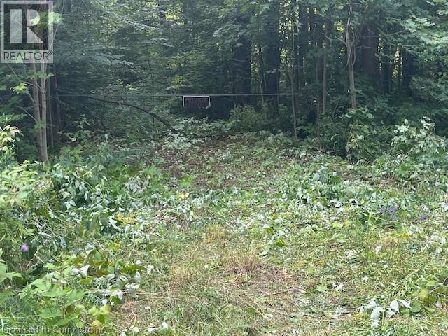 Pt Lt44 24th Side Road, Chatsworth, Ontario  N0H 1R0 - Photo 6 - 40755987