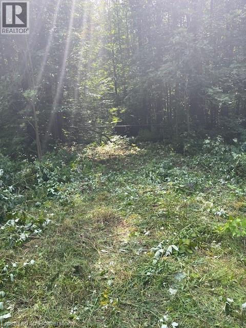 Pt Lt44 24th Side Road, Chatsworth, Ontario  N0H 1R0 - Photo 7 - 40755987