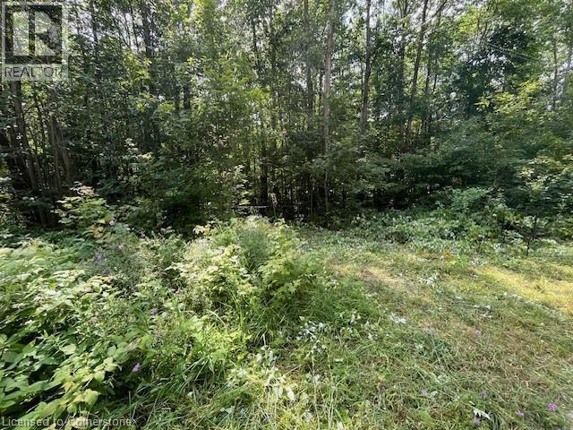 Pt Lt44 24th Side Road, Chatsworth, Ontario  N0H 1R0 - Photo 8 - 40755987