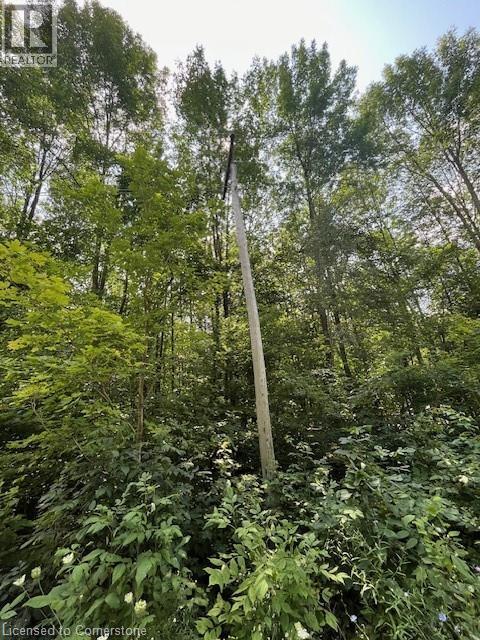 Pt Lt44 24th Side Road, Chatsworth, Ontario  N0H 1R0 - Photo 9 - 40755987