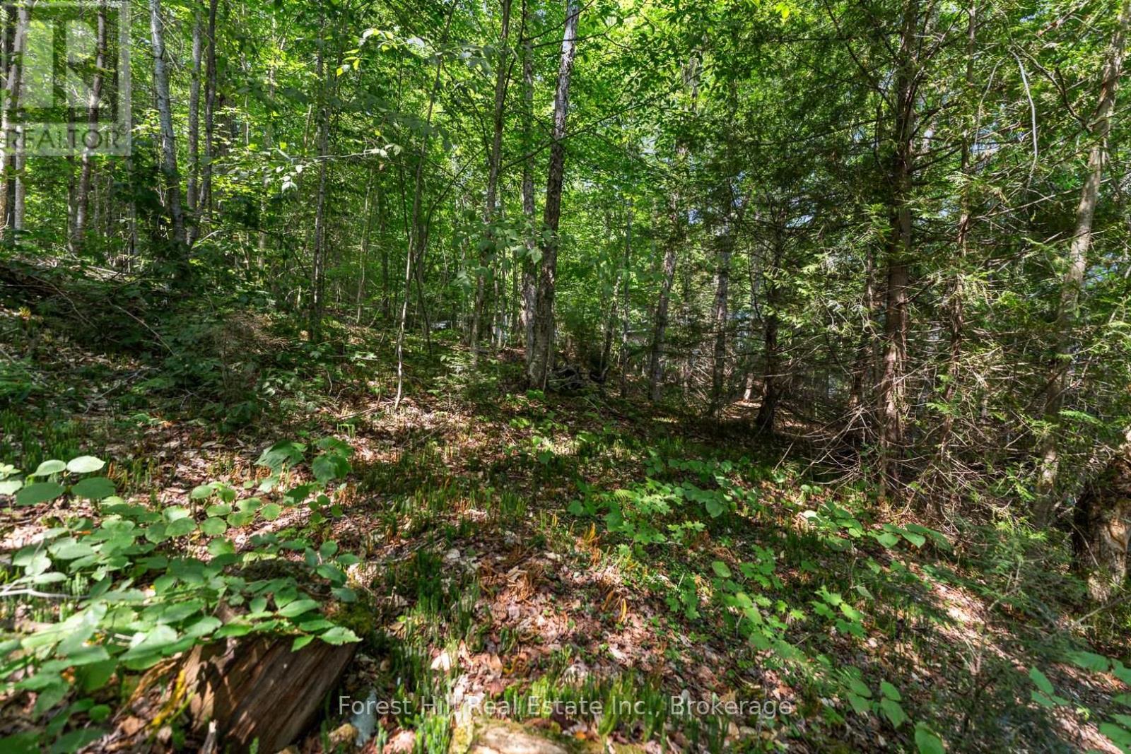 3477 Livingstone Lake Road, Algonquin Highlands, Ontario  P0A 1E0 - Photo 12 - X12321271